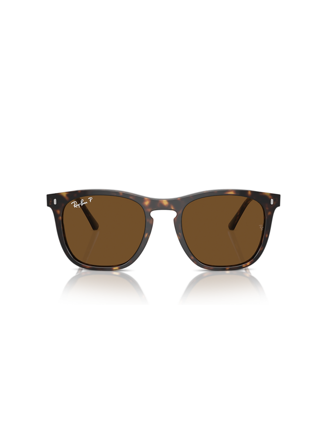 ORB2210 Transparent Light Brown W/Blue