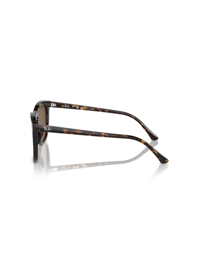 ORB2210 Transparent Light Brown W/Blue