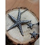 Earrings Starfish