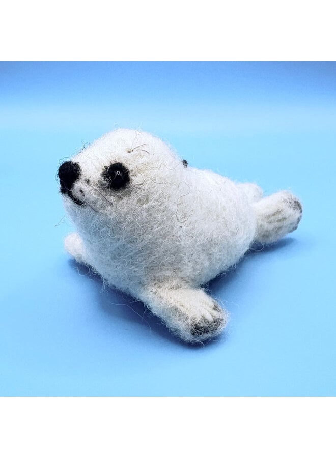 Seal Pup