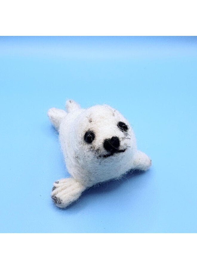 Seal Pup