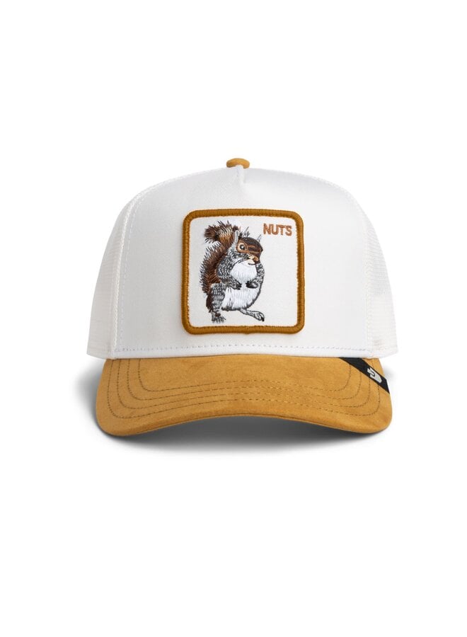 Suede Squirrel