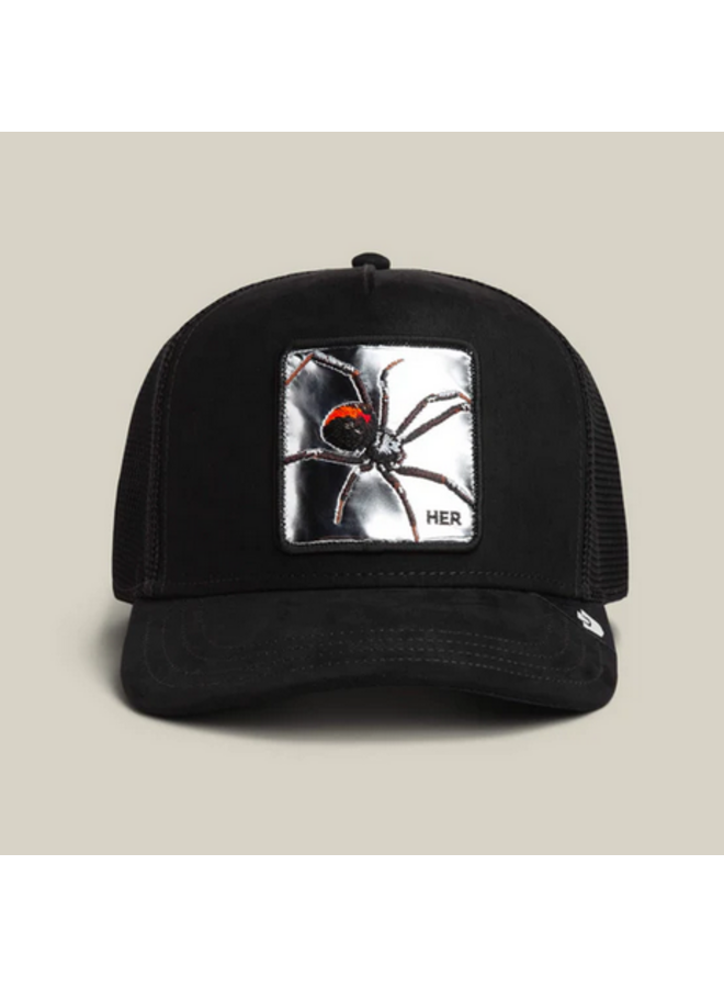 Silver Spider