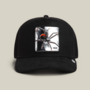 Silver Spider