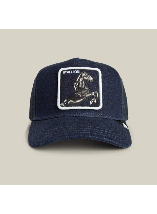 Denim Stallion