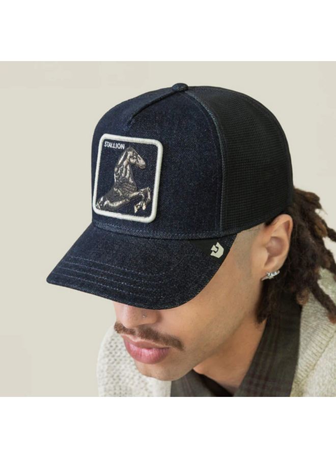 Denim Stallion