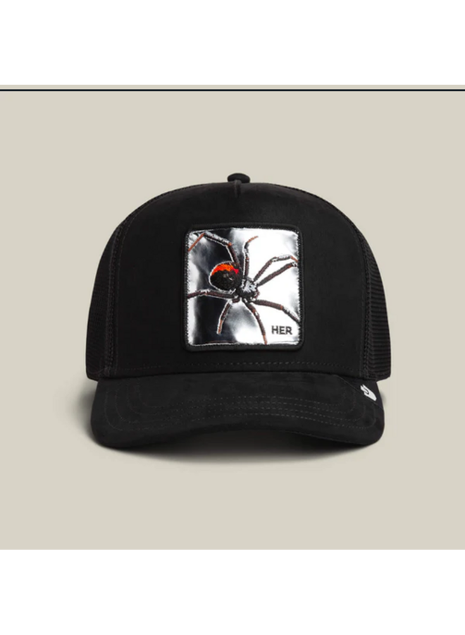 Silver Spider