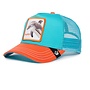 dolphin fan