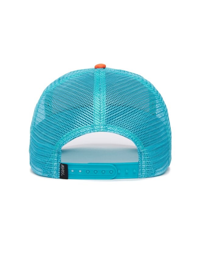 dolphin fan