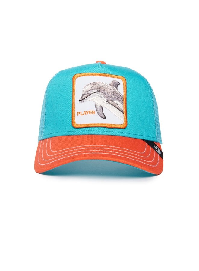 dolphin fan