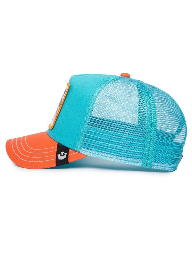dolphin fan