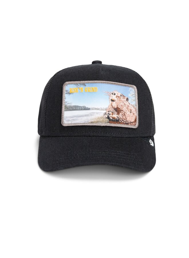morning wood