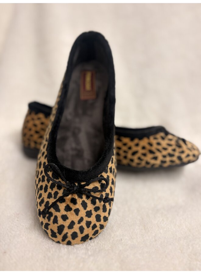 Ballet Slippers