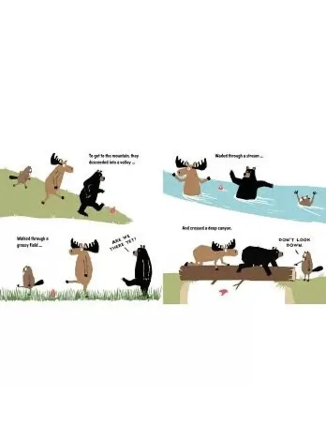 A Walk On The Wild Side Children's Book