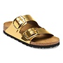 Arizona Big Buckle Leather Metallic