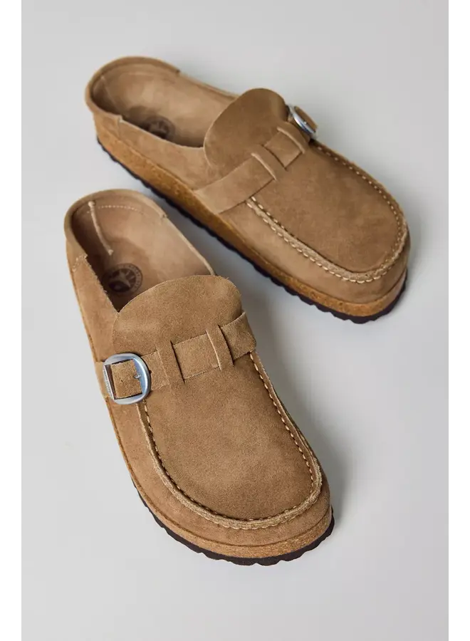 Buckley Suede N