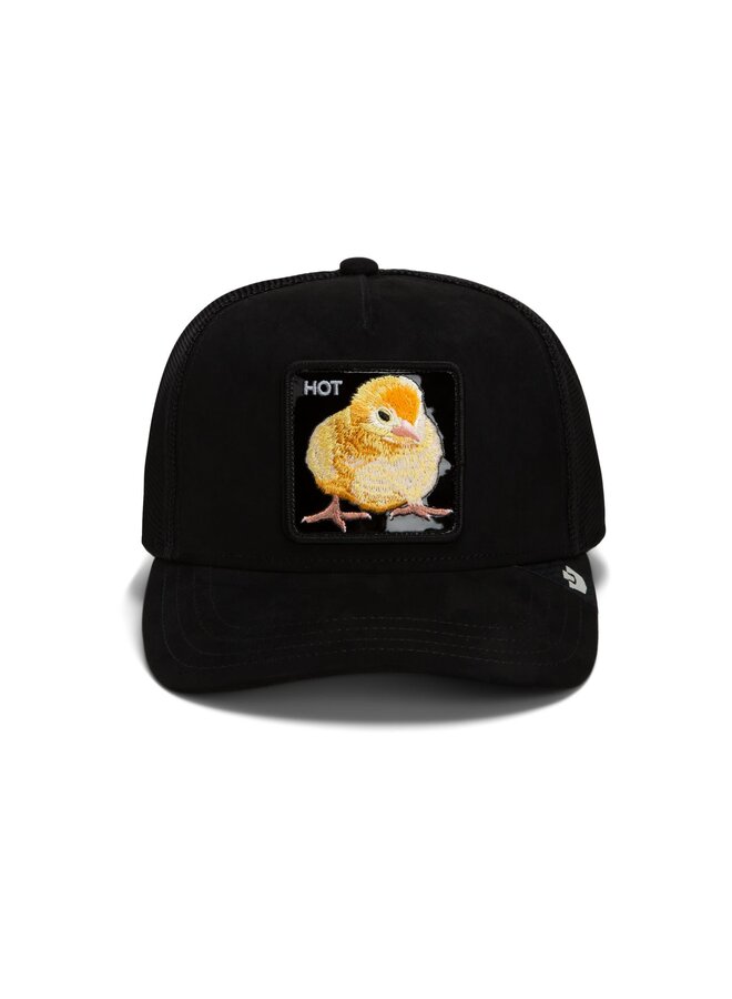 black out chick