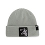 the silver fox beanie