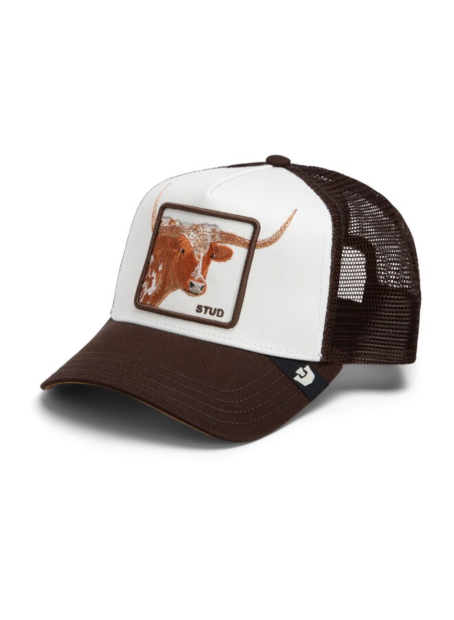over the line longhorn
