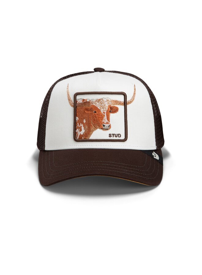 over the line longhorn