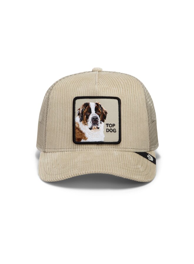 corduroy top dog