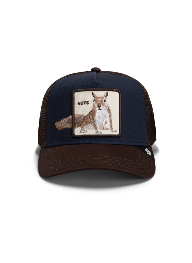 over the line squirrel