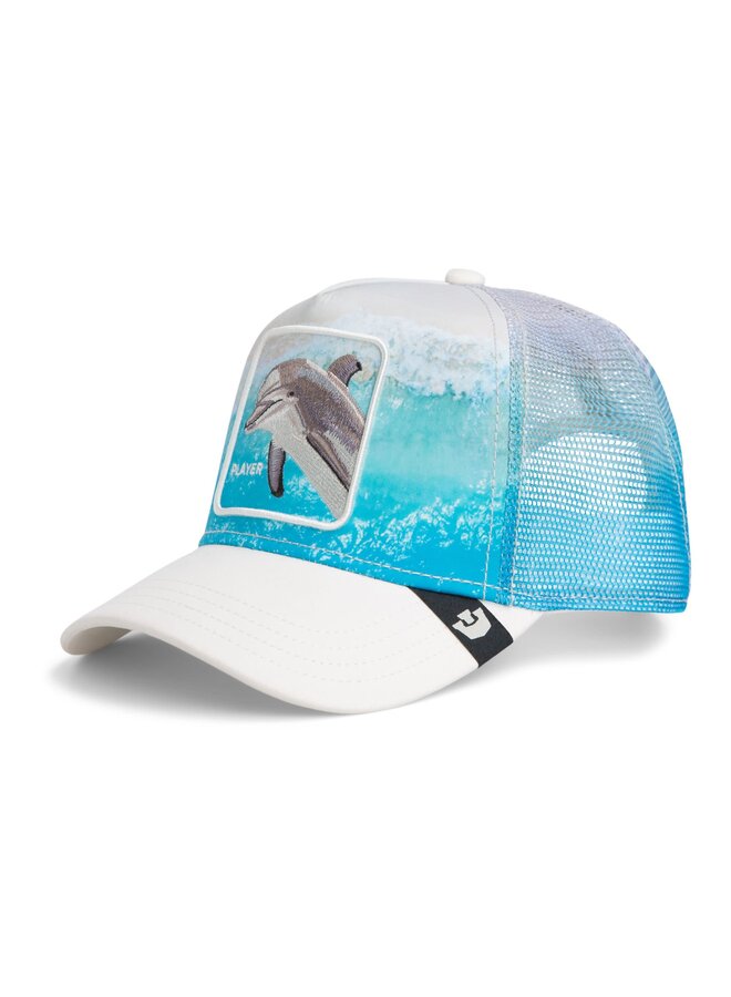 dolphin in the element