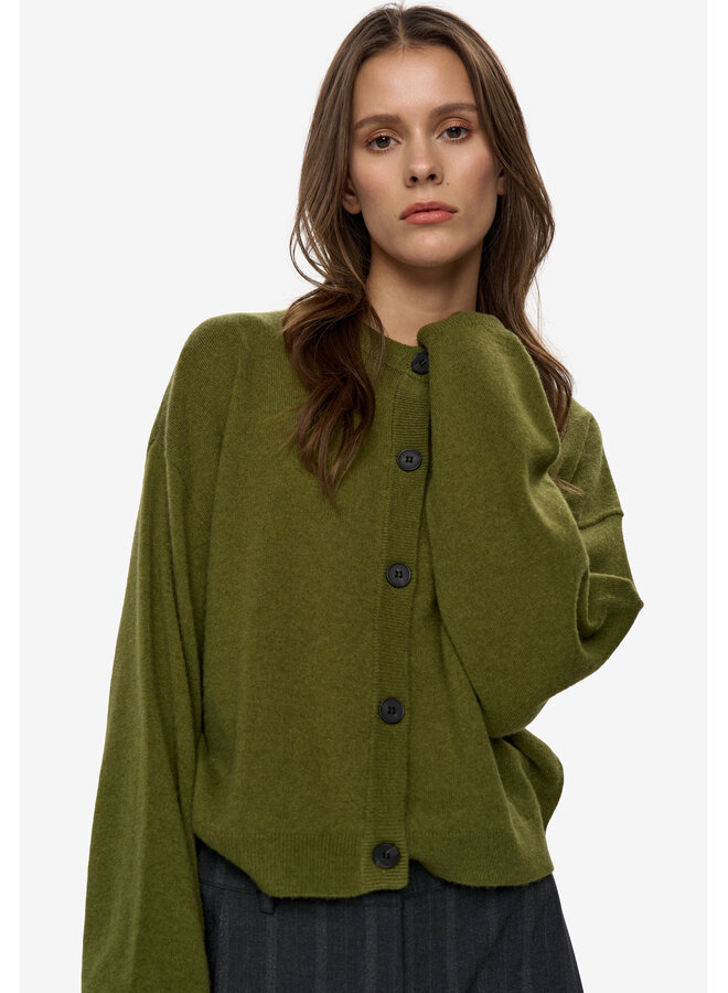 Assiana Cardigan