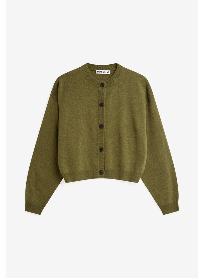 Assiana Cardigan