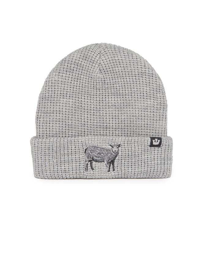 Ribbed Sheep