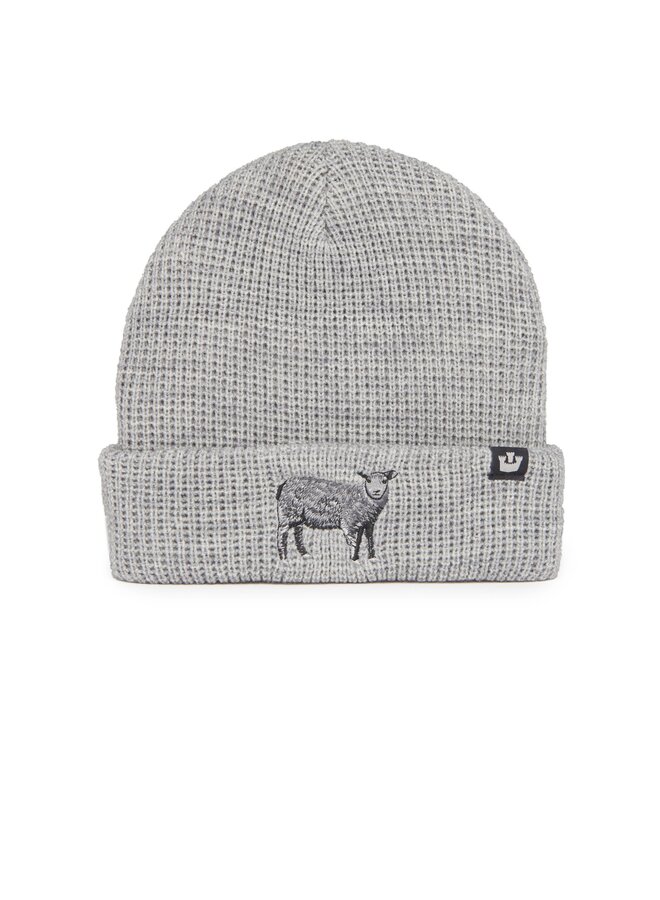 Ribbed Sheep