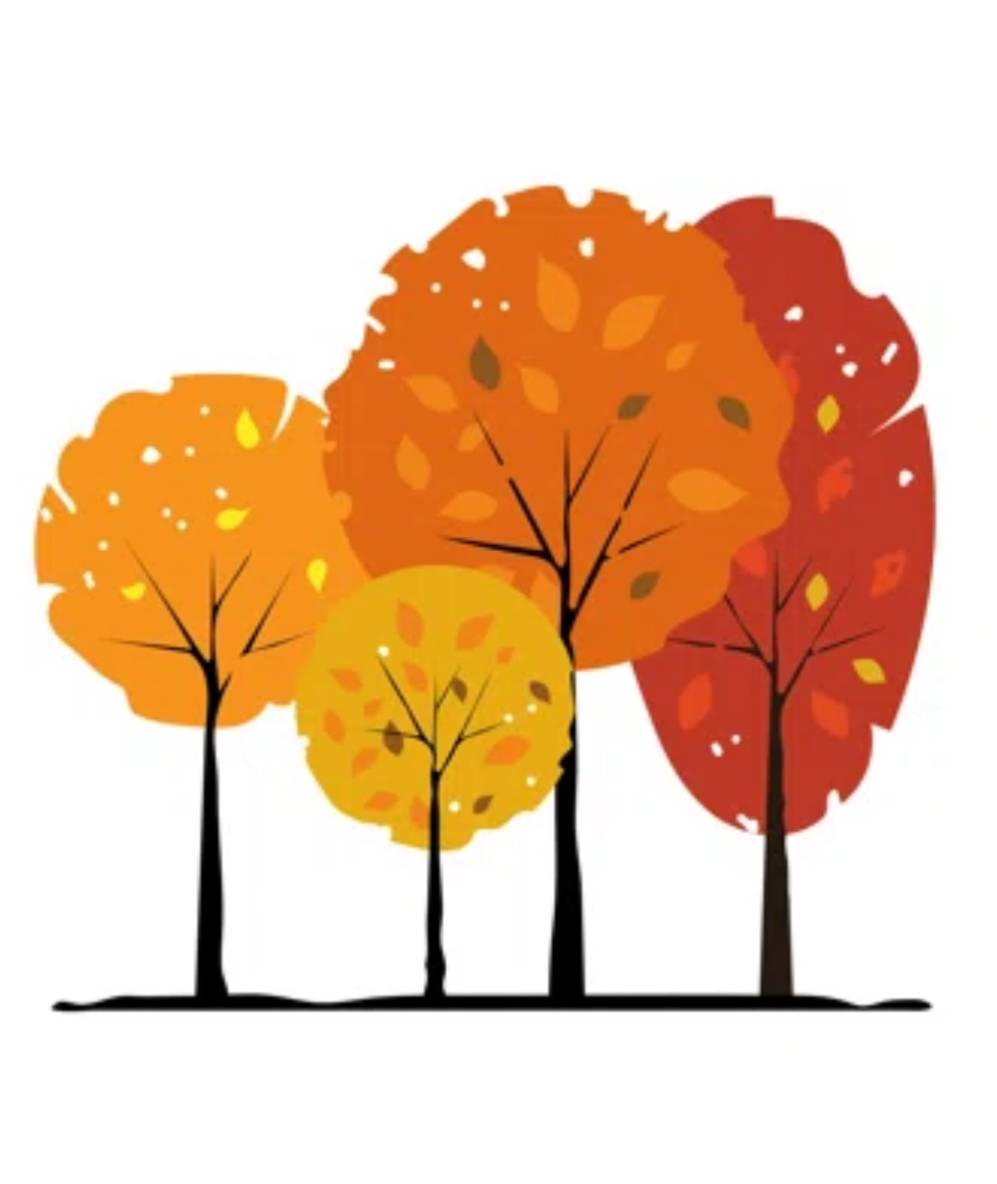 Fall