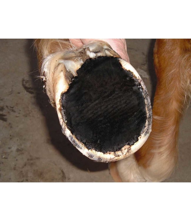 Vettec Vettec Sole Gard 210cc