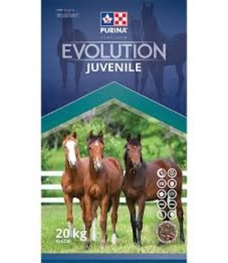 Purina Evolution Juvenile