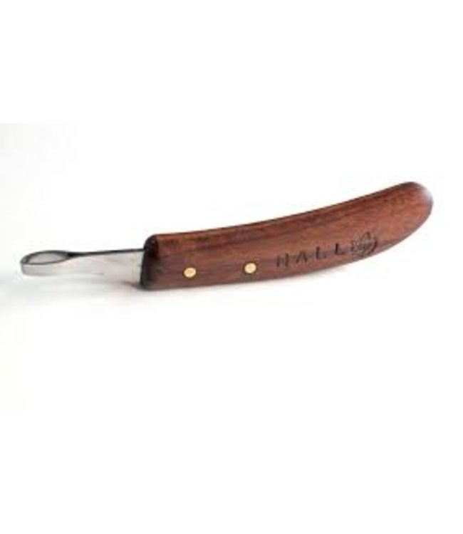 Hall Abscess loop Knife