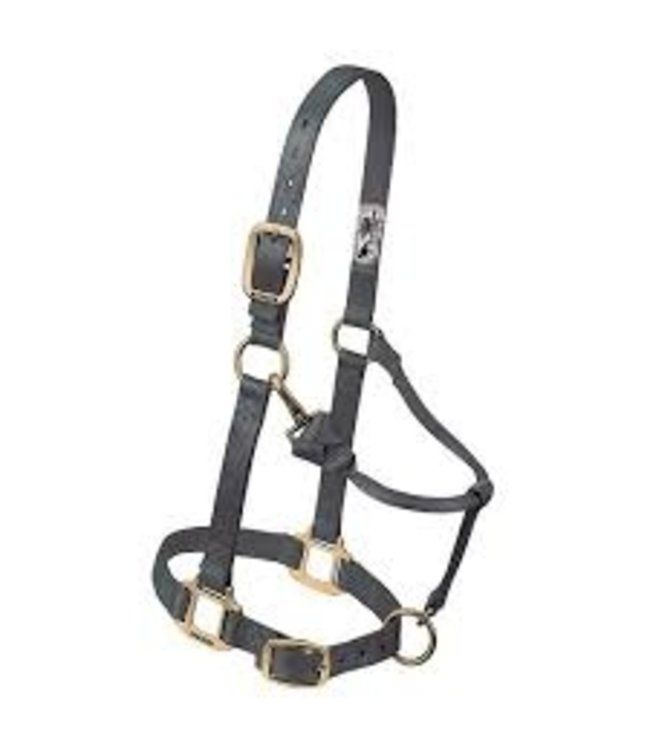 Weaver Weaver Halter