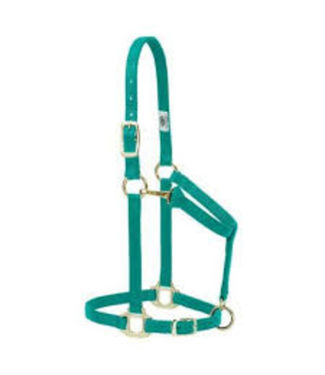 Weaver Weaver Halter