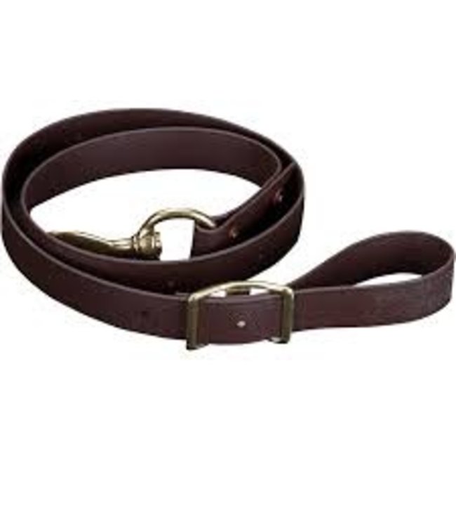 Cactus Saddlery Cactus Biothane Tie Down 1"