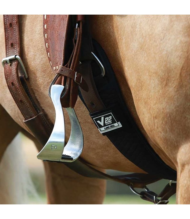 Emilie Veillette 2" Alum Racing Stirrup