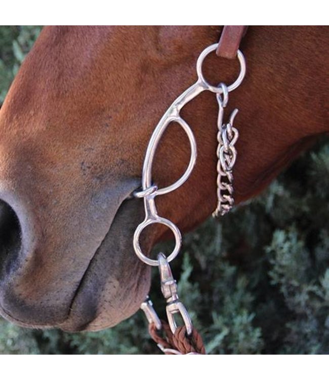 Professional's Choice Pro Choice Futurity Bit 6.5" - Chain