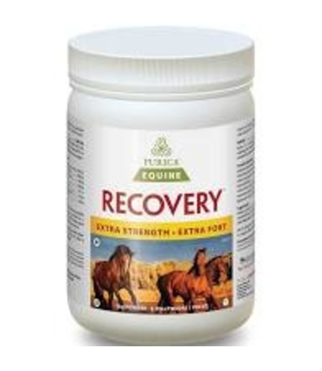 Purica Purica Recovery EQ Extra Strengh