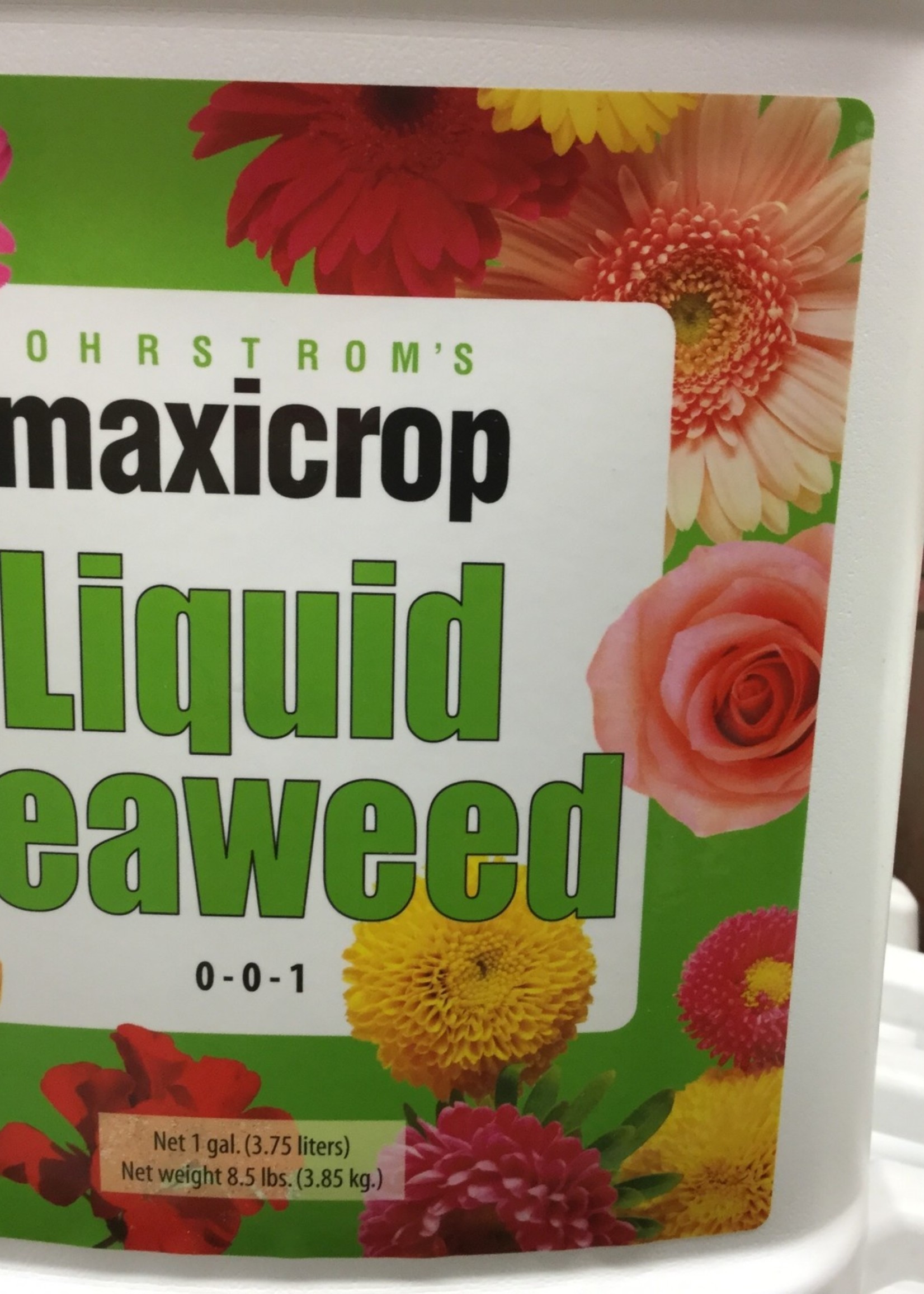Maxicrop Liquid Seaweed 1 gal.