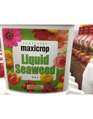 MAXICROP, 'LIQUID SEAWEED 1 gal.