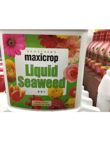 MAXICROP, 'LIQUID SEAWEED 1 gal.