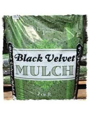 Mulch, Black Velvet 2 cf.