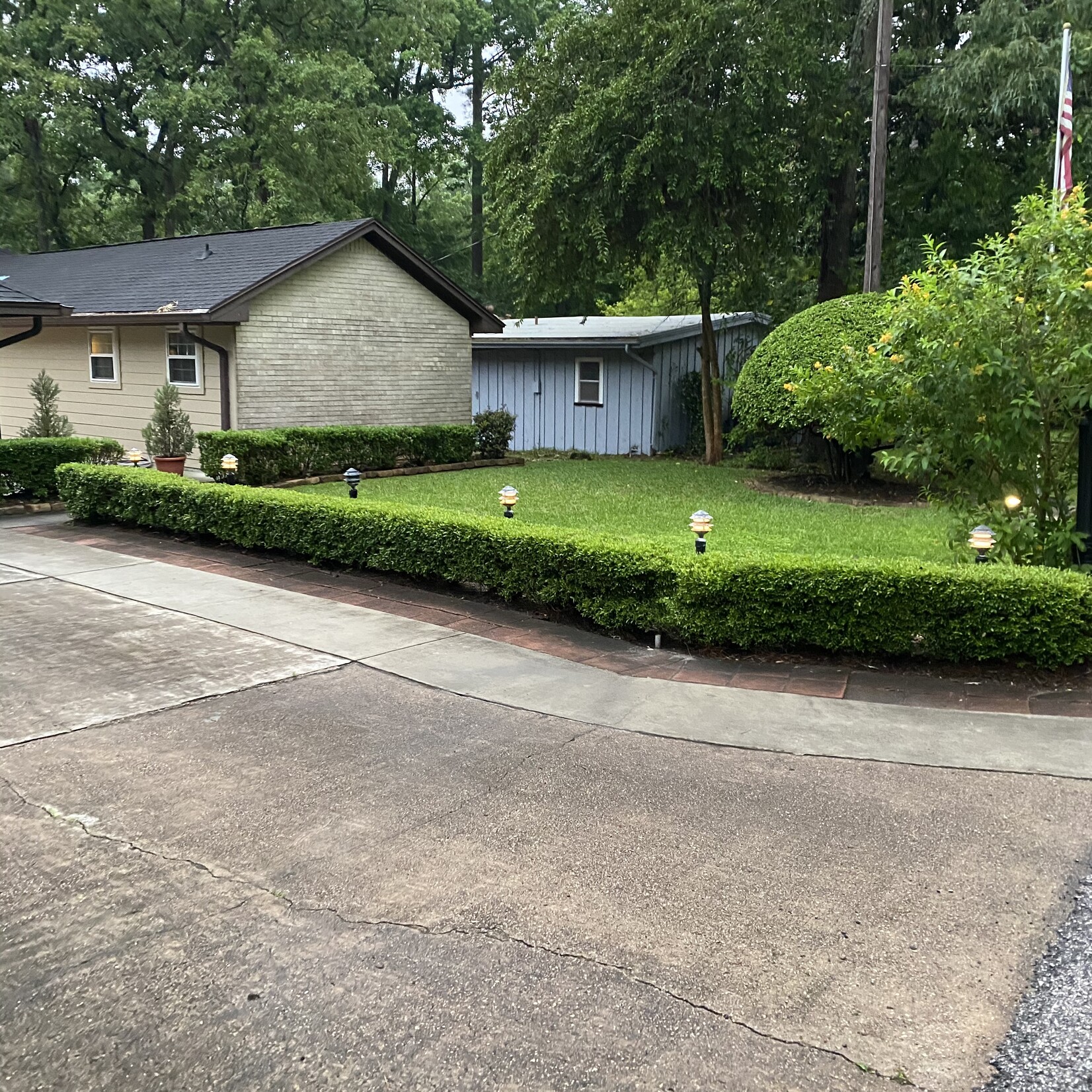 BOXWOOD, 'JAPANESE, 3G