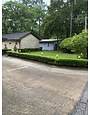Vallecillos Japanese Boxwood 3 Gallon - Buxus microphylla var. japonica