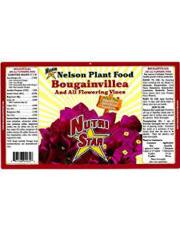 Nelsons Bougainvillea 4#