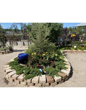 JUNIPER, 'GREEN MOUND', 3G
