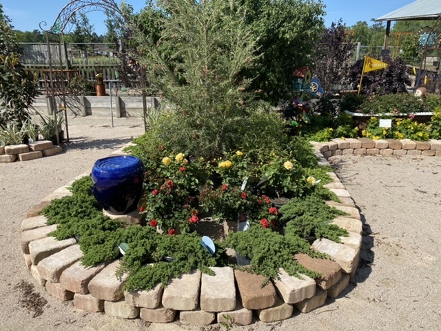 JUNIPER, 'GREEN MOUND', 3G